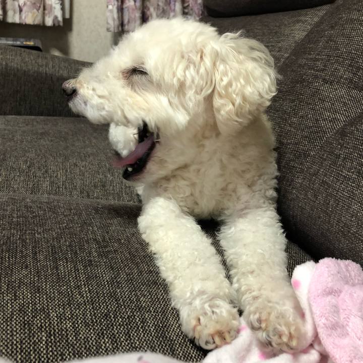 67b3cdb2 a6f0 44a3 ab41 7700b48aa80e 1528927388368