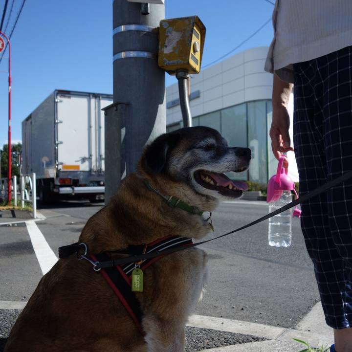 67b415c7 74aa 4cf0 b78e 9e9fa8d0f3ff 1564189665554