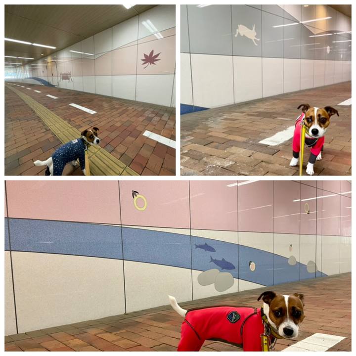 67b415ed 1179 4f55 b8f6 7fe97906310b 1644822955869