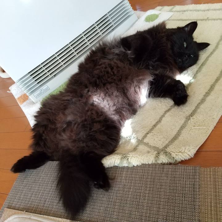 67b41809 3c56 4d23 9a91 92df26a2552a 1581119483209