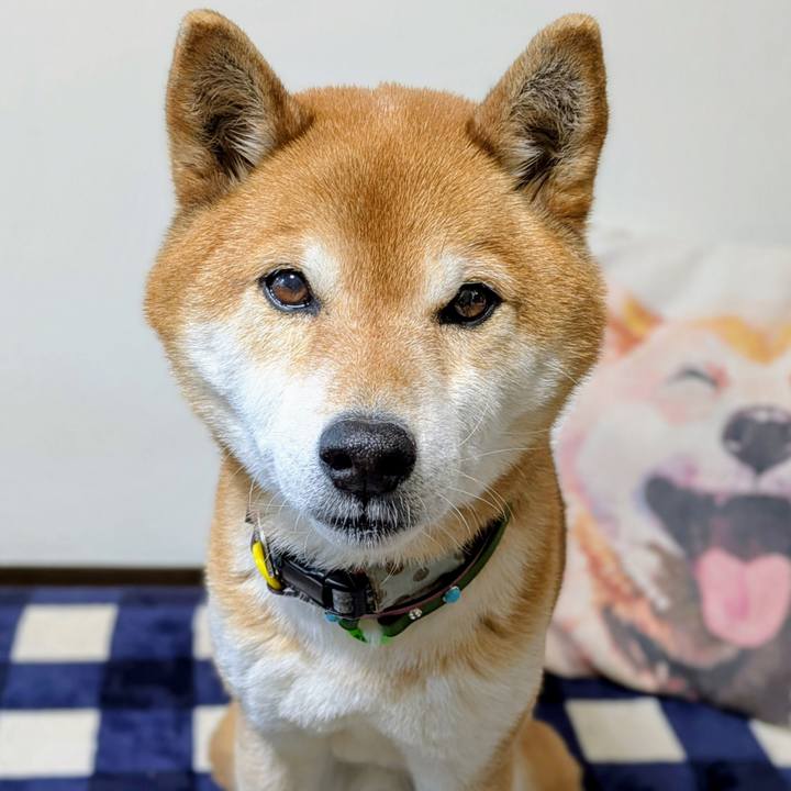 67b42d3e 7ea8 42f7 982f 34ca29f3c12a 1742548392266