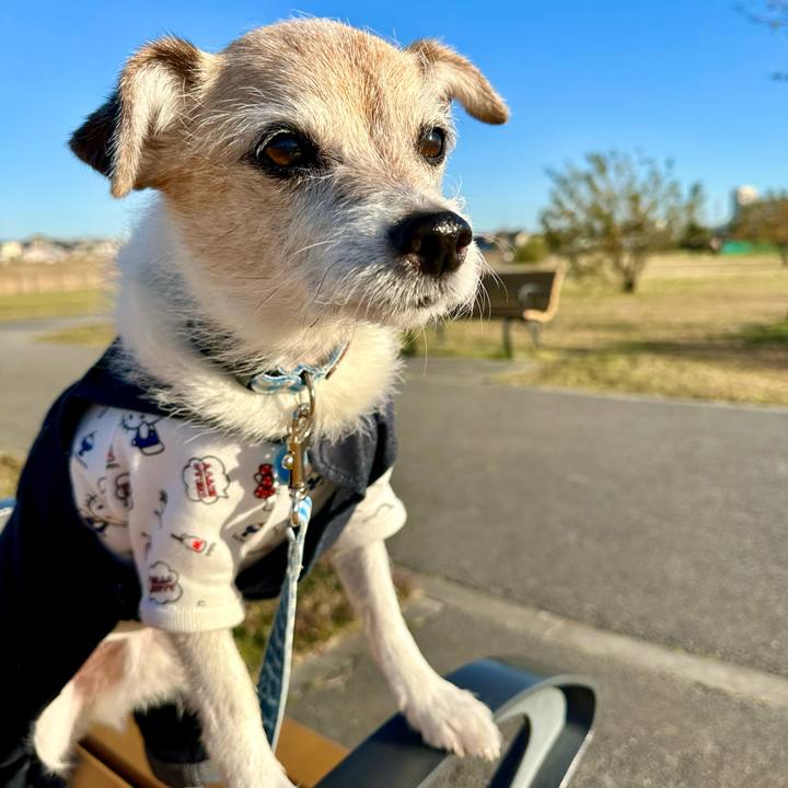 67b43e9d dfb0 470f ac24 05adf6c53433 1701595218644