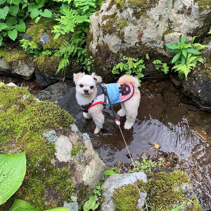 67b44490 3de7 49eb 963f b2e689cfce86 1566990816088