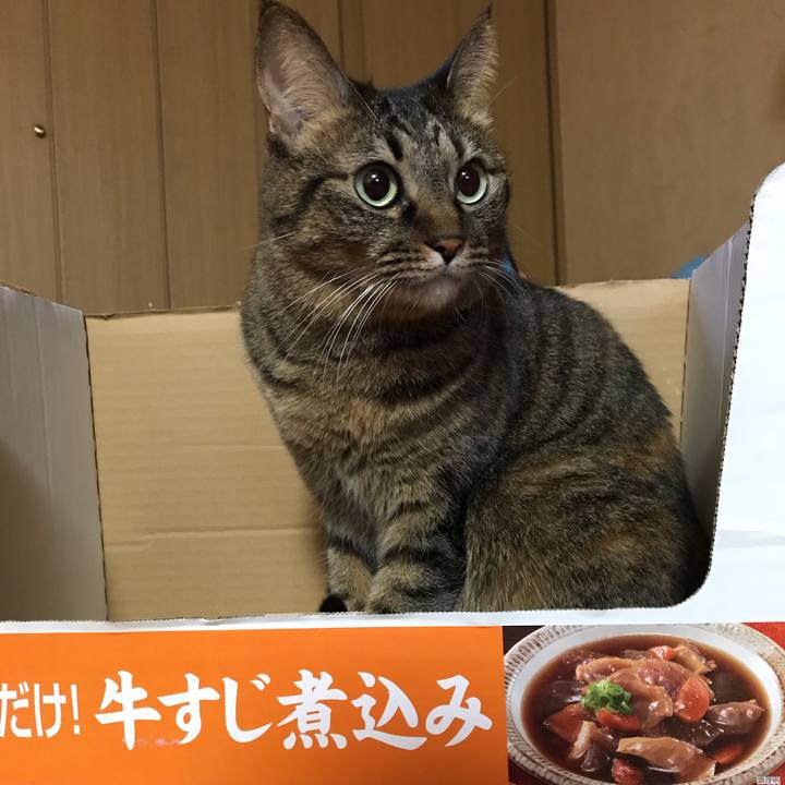 67b45843 ffc2 43db 8fd7 5e307072c453 1577158675571