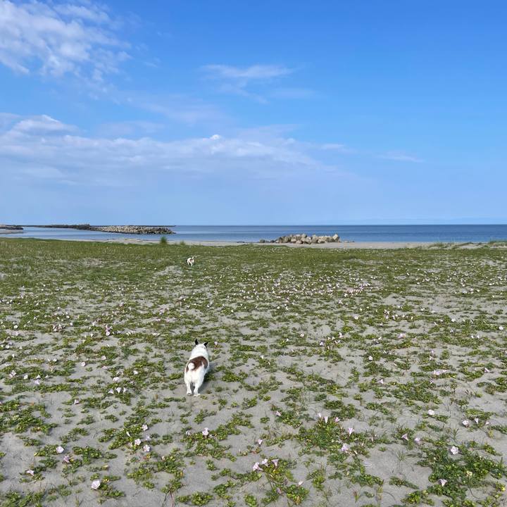 67b46e03 cba2 43ed a21f c444b9181a44 1748392214168