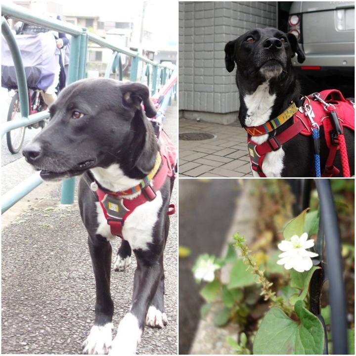 67b49011 921b 4493 bd3a fdd9e6d24f6e 1590111866728