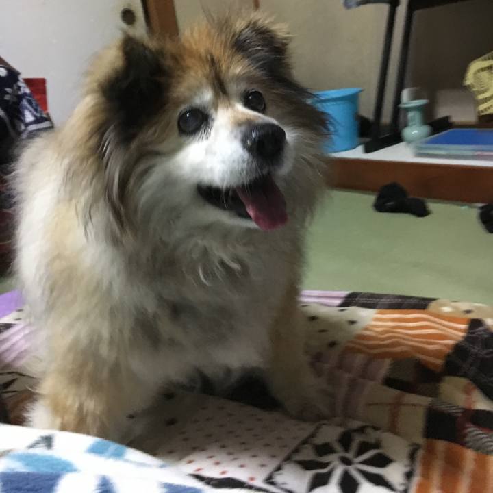 67b499bb 1e3c 4fce 8f3b b35778c4ca37 1593924891342