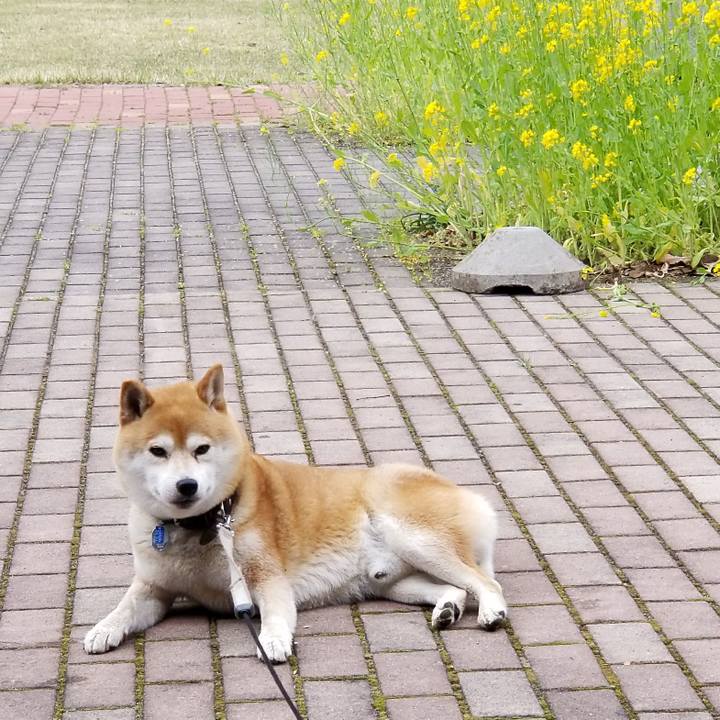 67b4d731 5ef7 42c0 bcc2 8b4f0ec64d4c 1524551708175