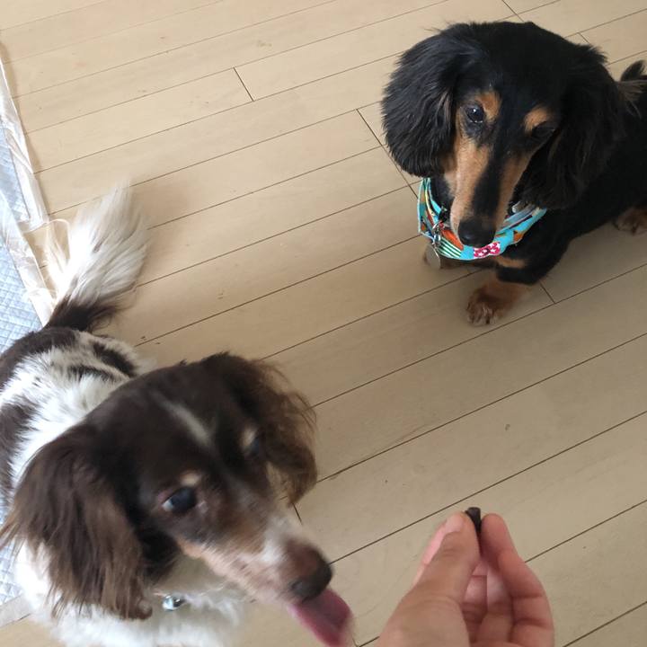 67b4dff2 3625 45f3 82ee cf3861a26321 1560984549122