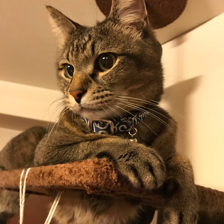 67b4ed67 69b8 4bbf a861 dd59df1cbdd9 1524501615124