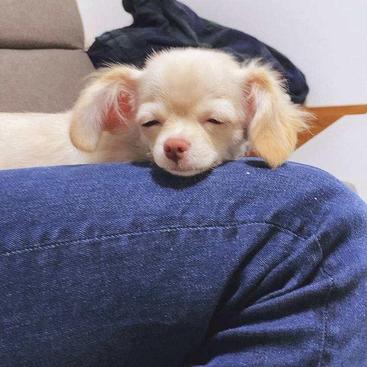 67b4fd3c 5977 472e b457 cde1d753106b 1591782137071