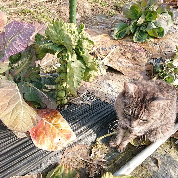 67b50b41 e1e0 45e9 bc3f 919ae2f638e0 1581749073864