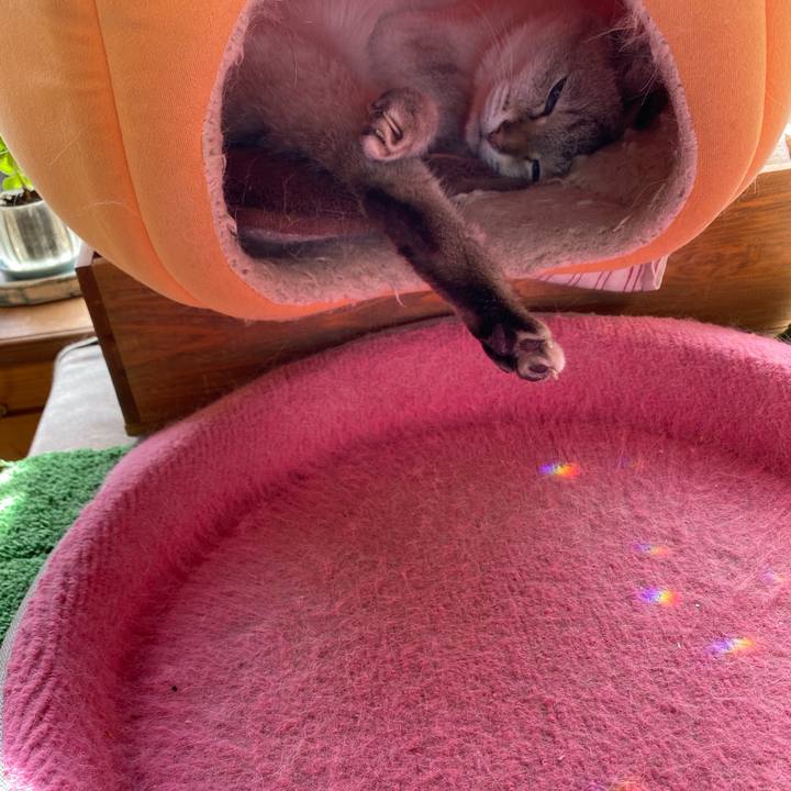 67b5375e ff9d 4af8 b500 23be253c2d7c 1602142251010