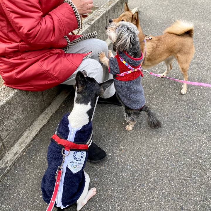 67b54071 29c1 40d8 b5d1 3f66059a0776 1580038378062