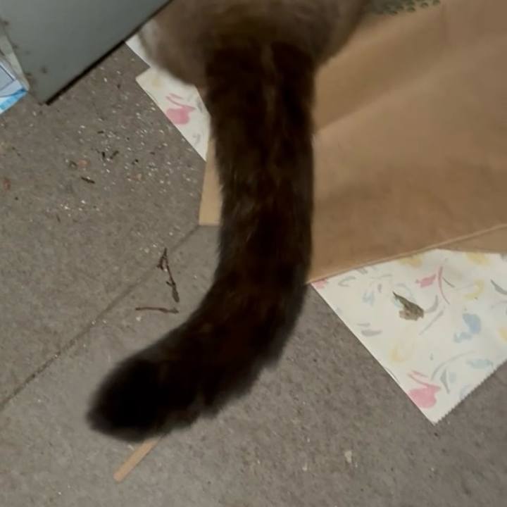 67b54e2f abfa 4917 b1c7 01310beac267 1759657961064