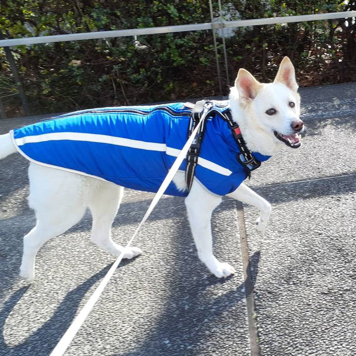 67b5745c ff75 4df8 bc1c de82ad182e48 1644645198575