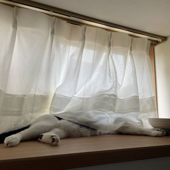 67b581c8 53c5 4886 97be bfd01270389a 1719887705180