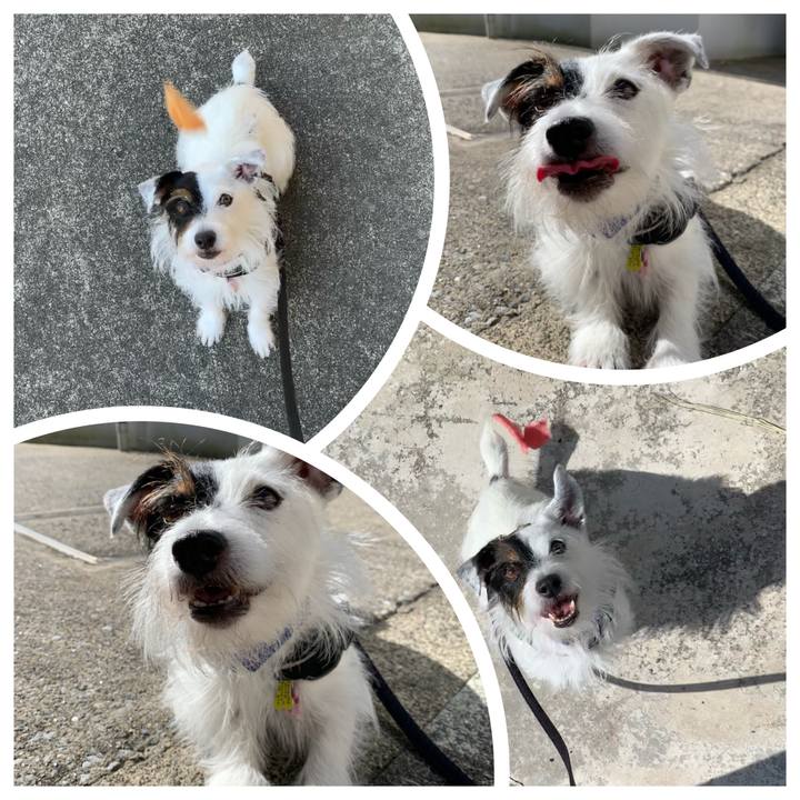 67b58a1f eed4 4841 816a 8fff9461b44c 1659136470750