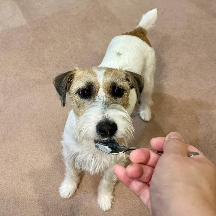 67b5b099 b8ce 4931 9604 f6920e8dbd21 1628945717204