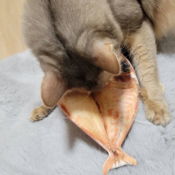 67b5b946 f4be 42f5 8cb9 83c41f52623d 1648378152743