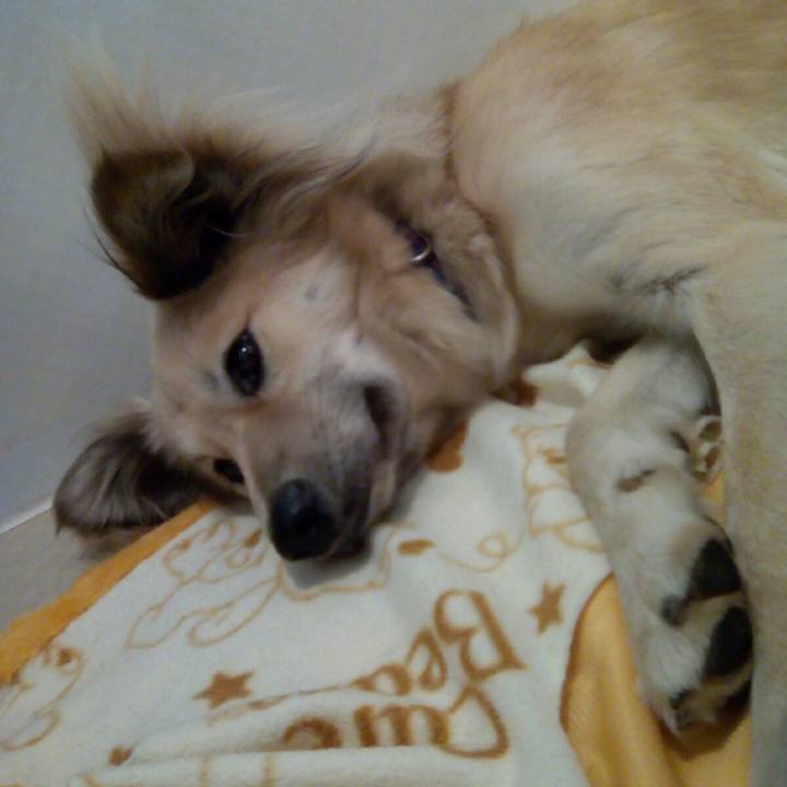 67b606ae 61ed 4df0 b367 371dac165f22 1528452014141