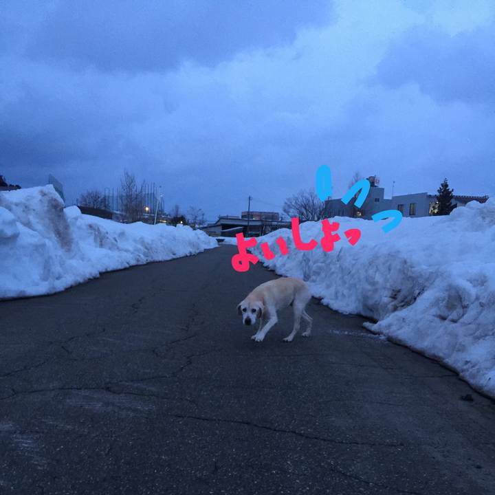 67b618ba 599a 4b0d 9dd2 b95fec693da0 1519722658535