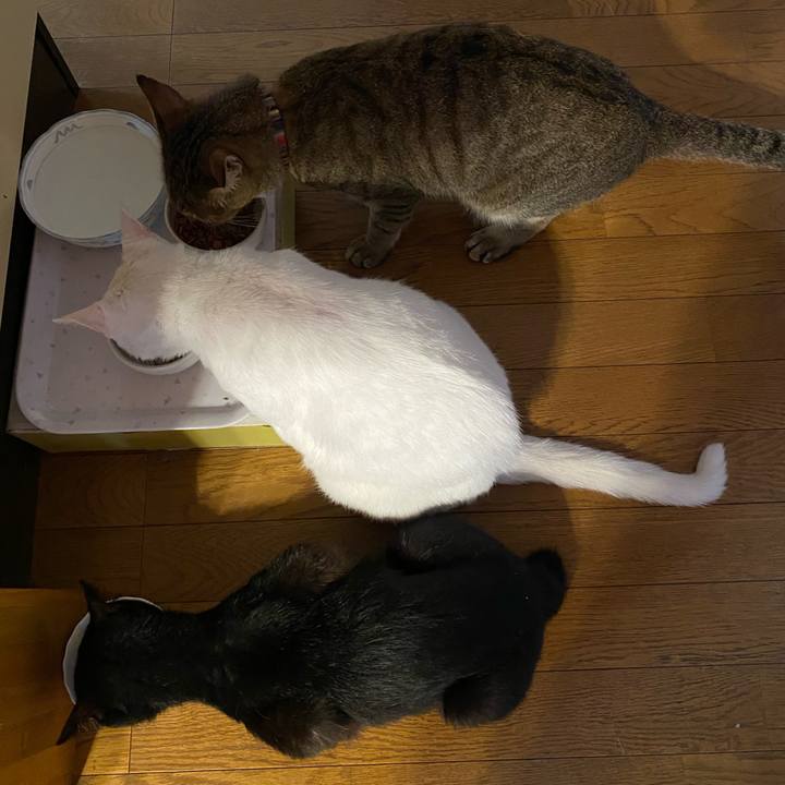 67b63a68 7443 4f5f a8da 1bfe50b4f58c 1659826761023