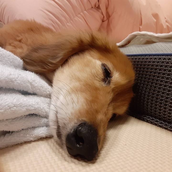 67b63d8d eff9 4b4d 90c8 a6e56b0243d1 1653313598104