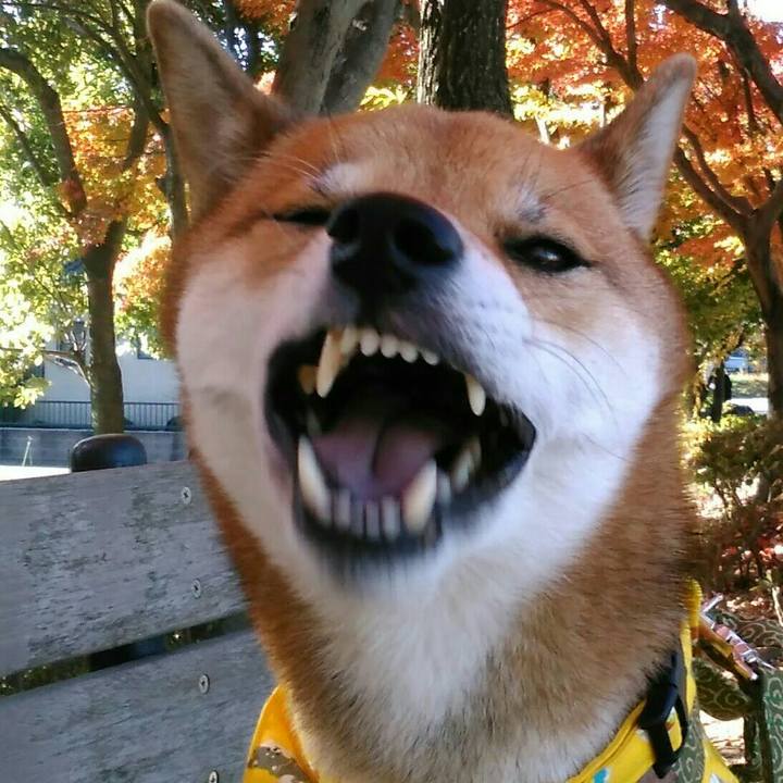 67b6b178 04e4 4cd4 bd26 d83136aca1df 1513047737176