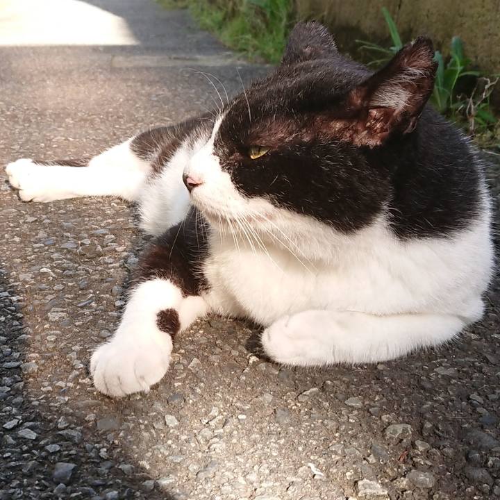 67b6b202 35fb 44e0 93cd 1ec47c74e1e4 1597185915838