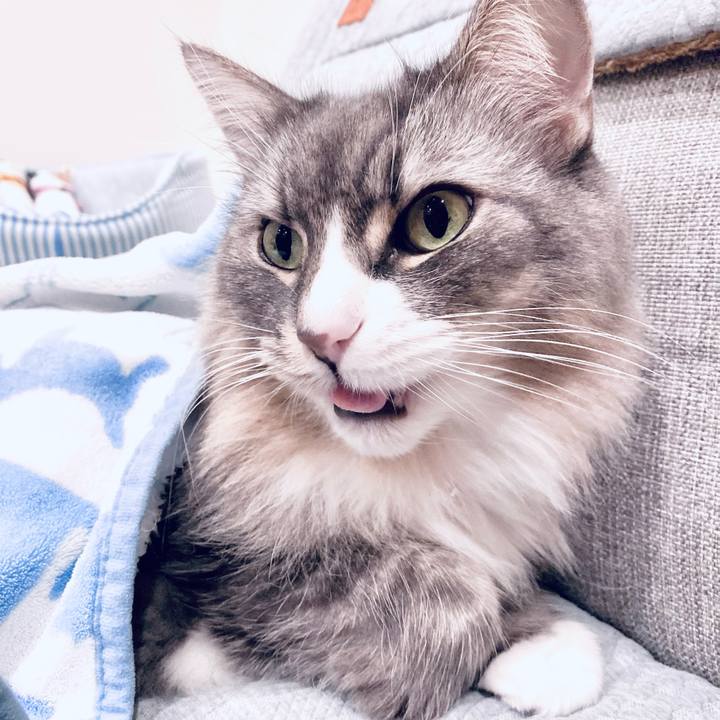 67b6b544 85d7 4076 a113 31733d408a86 1732203947631