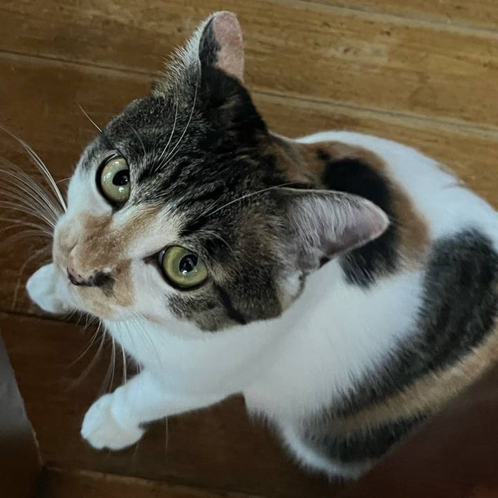 67b6c1de 8bc1 4131 8c6e d457963be16c 1755734537979