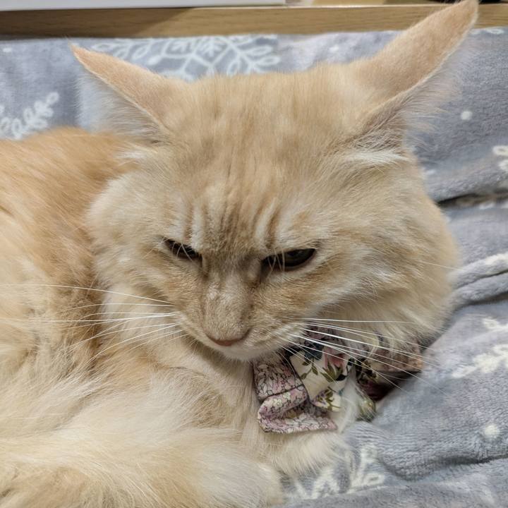 67b6de16 0831 49b3 b459 13aac67925f0 1765203818166