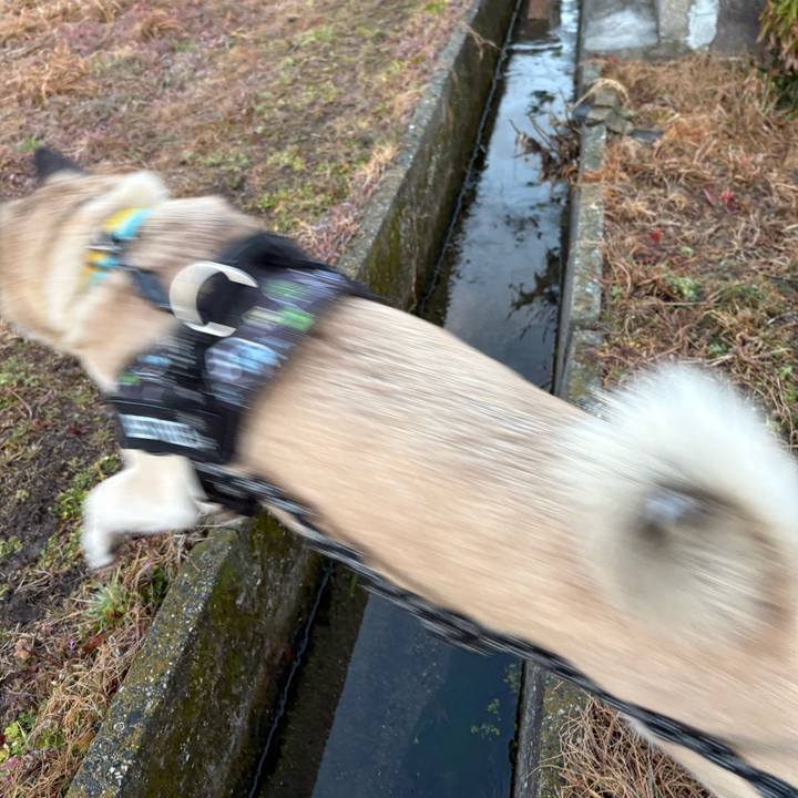 67b7251e 6837 4bac 8245 609ca86c62e7 1740572938894