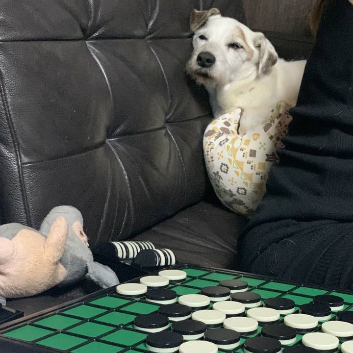 67b73cc7 deaf 4a28 980b cf21c8a8f59b 1589545186840