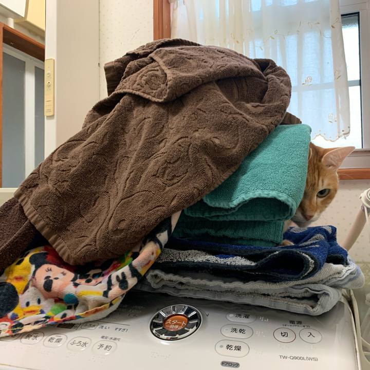 67b760f2 530b 4d0d a86d d9933eff6ac9 1573250649598