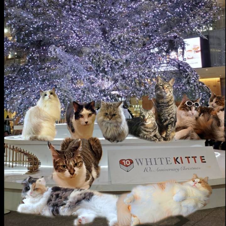 67b77a8e b04d 4f95 8ad7 38c0972eebf7 1703032303286