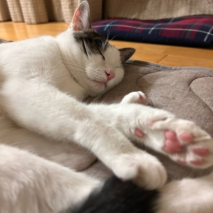 67b78293 3bc8 43f3 a07f ae7faee84baa 1721916925443