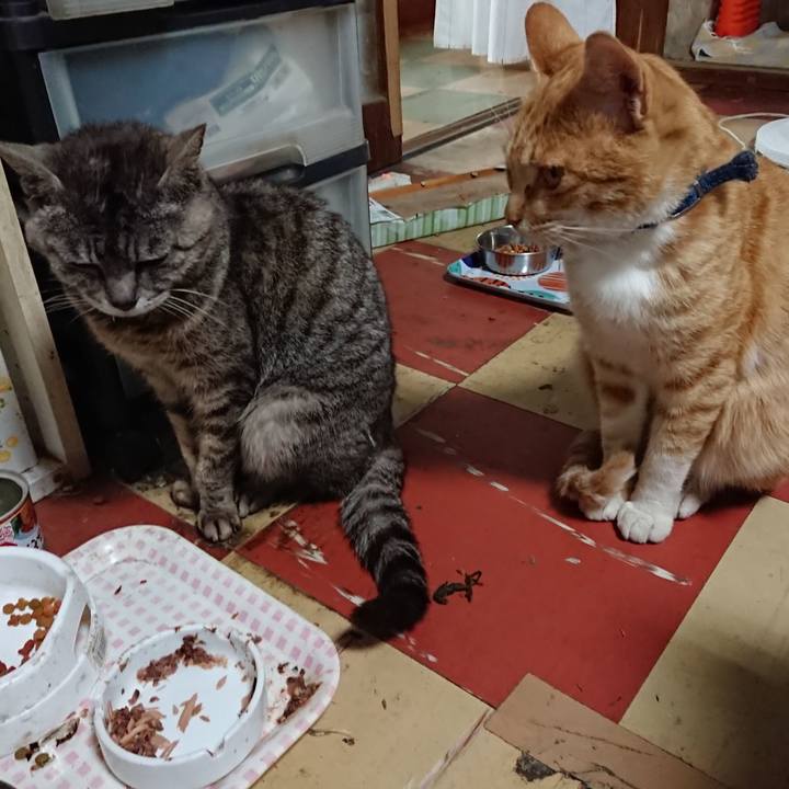 67b7c3f7 6534 463c ab4b 7376b023657c 1562465870860