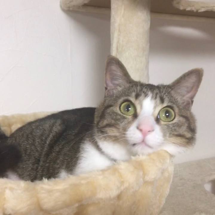 67b7d70c a897 4c04 a0e6 d7d3b373d195 1685252817544