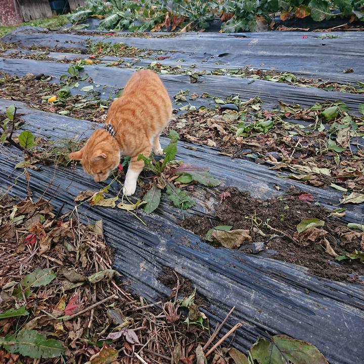 67b7fa29 5150 4e7b 8e6c 46771c40f43d 1573891180186