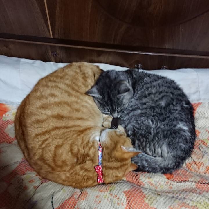 67b81857 edf3 4370 9412 81071f92b44d 1577884522930