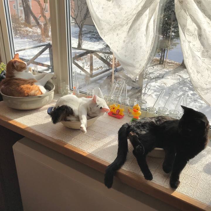 67b85b01 1025 4045 a31d 2f66cb5e3c55 1577580414411