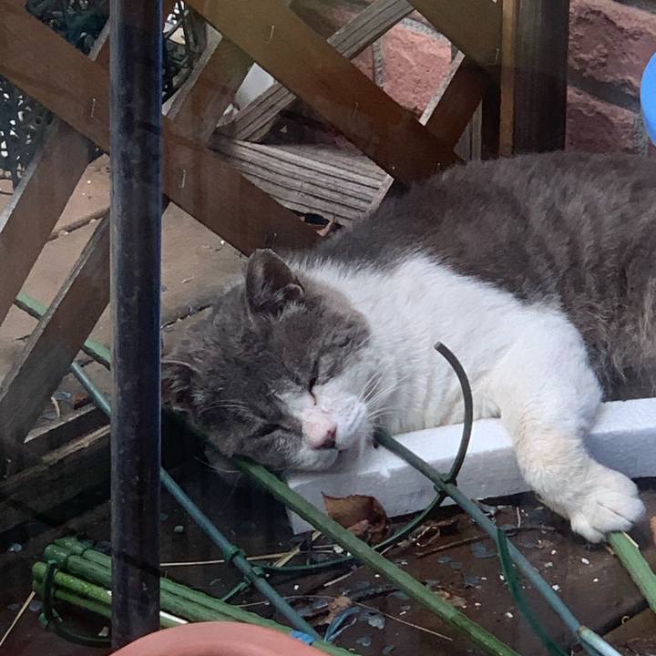 67b8744d 938f 4c83 9a87 645e6501cc2c 1588563627363