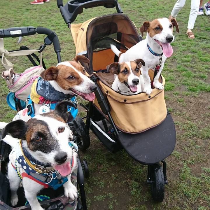 67b8775a 616b 4cbe 8cd3 b7933c227221 1567239675498