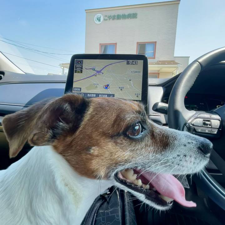 67b88925 f75a 46da 90a1 debd20816351 1749084366002