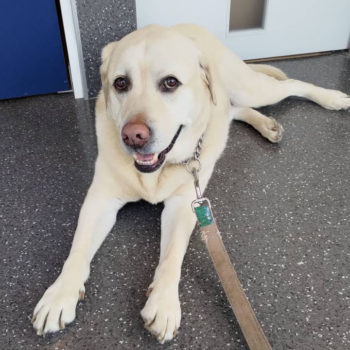 67b8af05 50ef 42e3 8923 341c2add7a1d 1678530073155