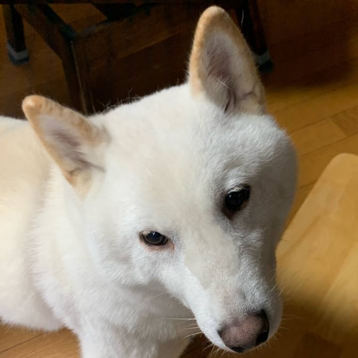 67b8cc39 7d67 4cde bc18 75d2ad7c8d36 1573947154555