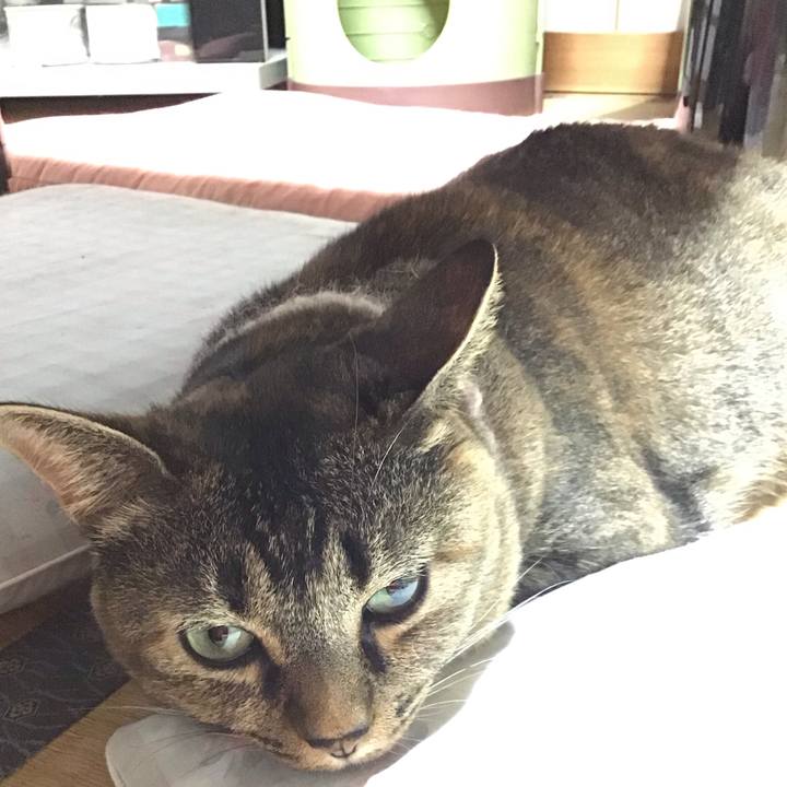 67b8d25a 2155 4a56 a10a 955fcbd9bbcb 1693052974378