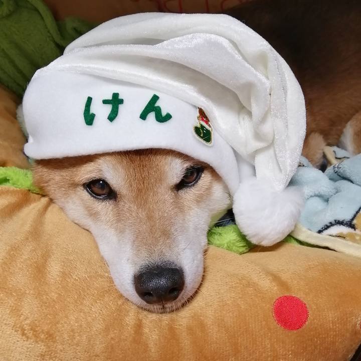 67b8d870 52fd 416c ab66 008e5d40fc28 1671885925734